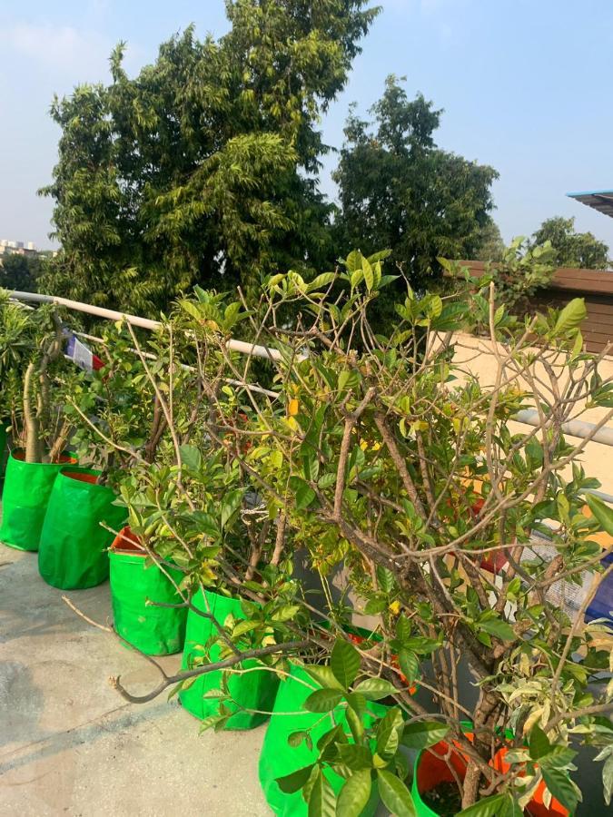 Bed & Chai Guesthouse New Delhi Bagian luar foto