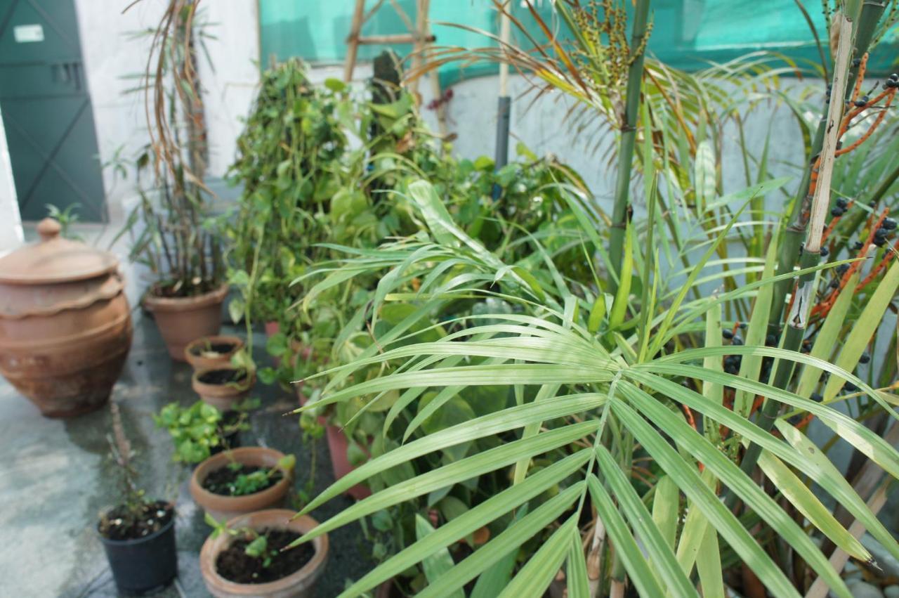 Bed & Chai Guesthouse New Delhi Bagian luar foto