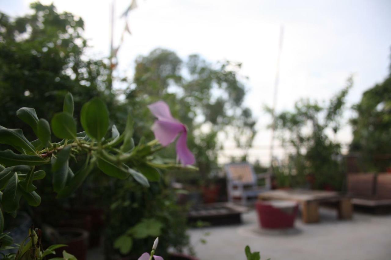 Bed & Chai Guesthouse New Delhi Bagian luar foto